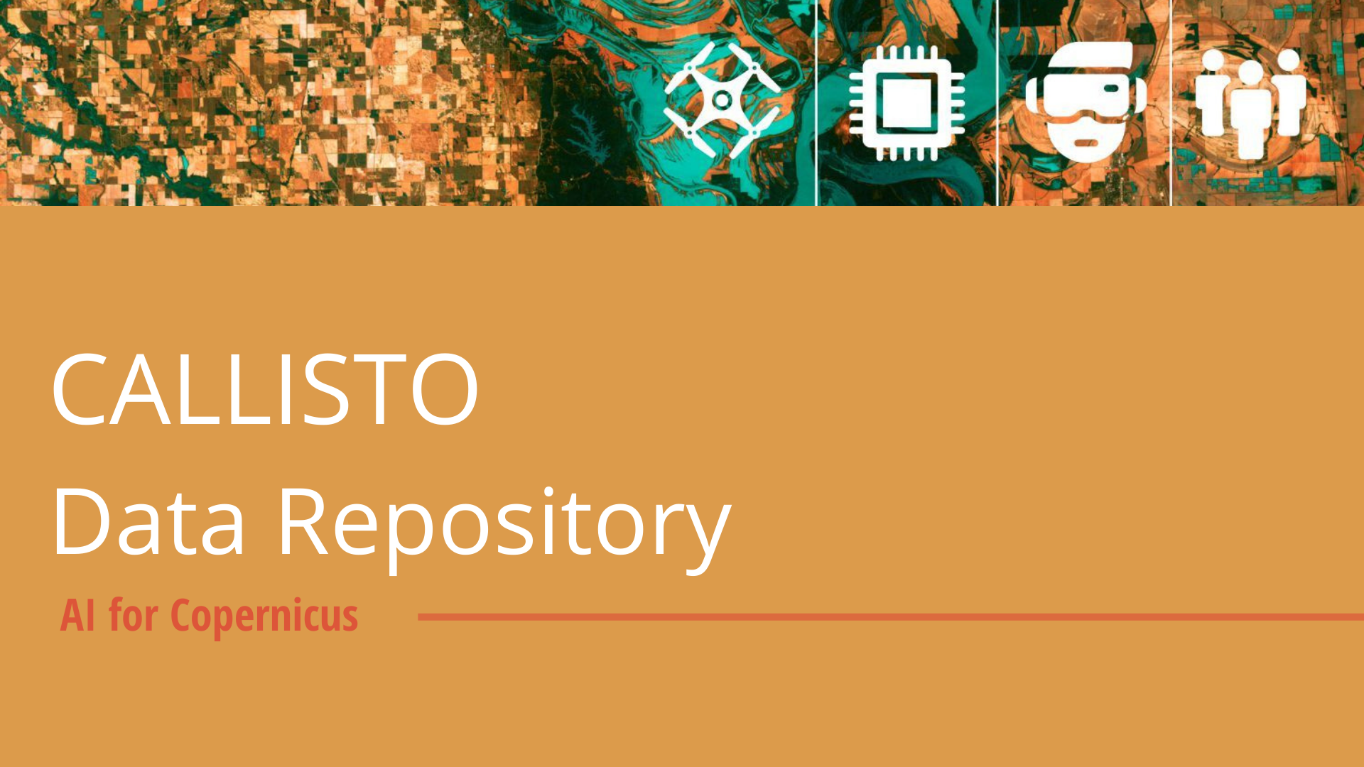 Callisto Data Repository Image